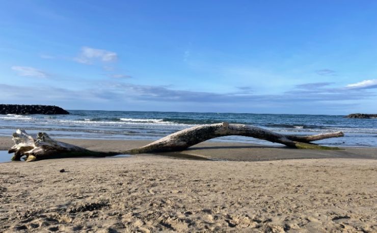 Heerlijke luxe vakantiewoning 🏝️ vlakbij de zee! Incl zwemparadijs van 7500m2 