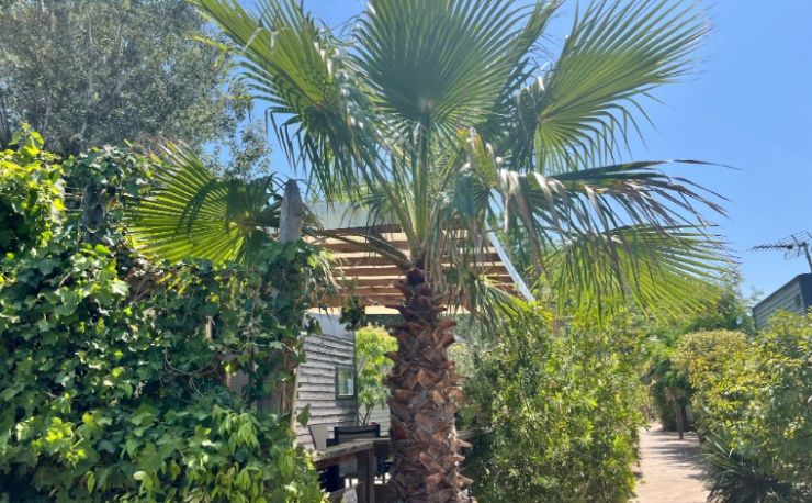 Ruim chalet in groene oase 