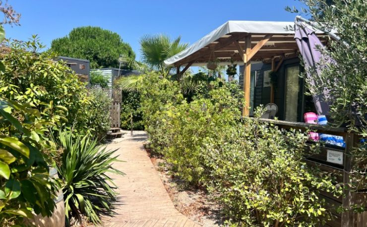 Ruim chalet in groene oase 